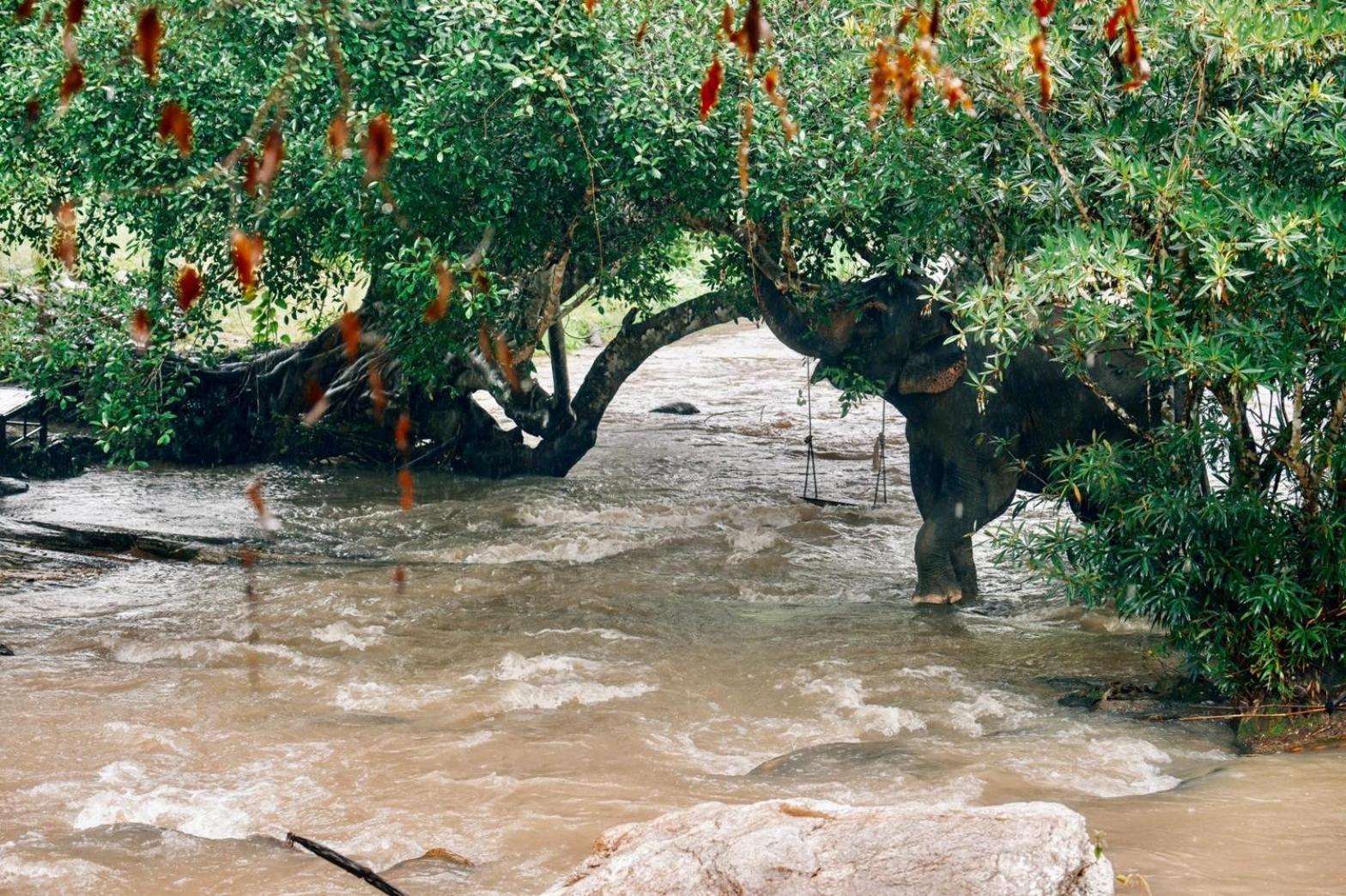 3Pok-Riverside Maewangjinxiang Mevang Kültér fotó